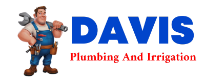 Trusted plumber in PICACHO